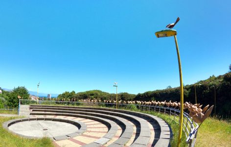 ANFITEATRO DE AVES